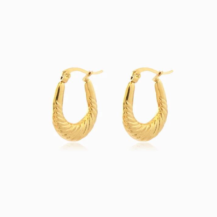 Brincos Argolas em Aço Dourado